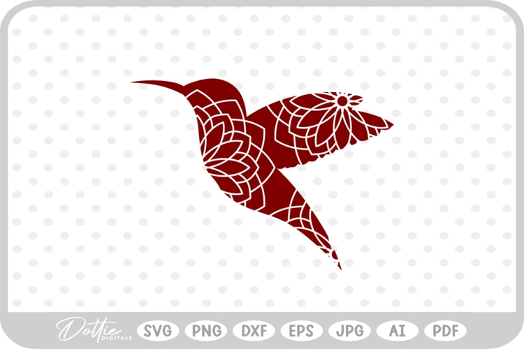 Hummingbird Illustration Image 10