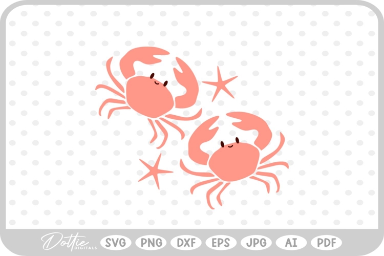 Starfish Illustration Image 15