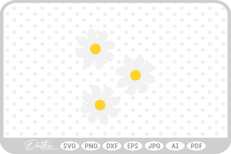 Daisies Png Image 15