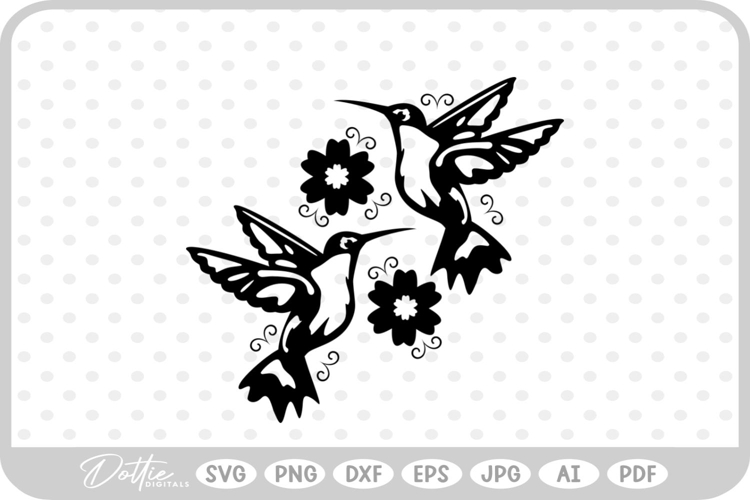 Hummingbird Illustration Image 11