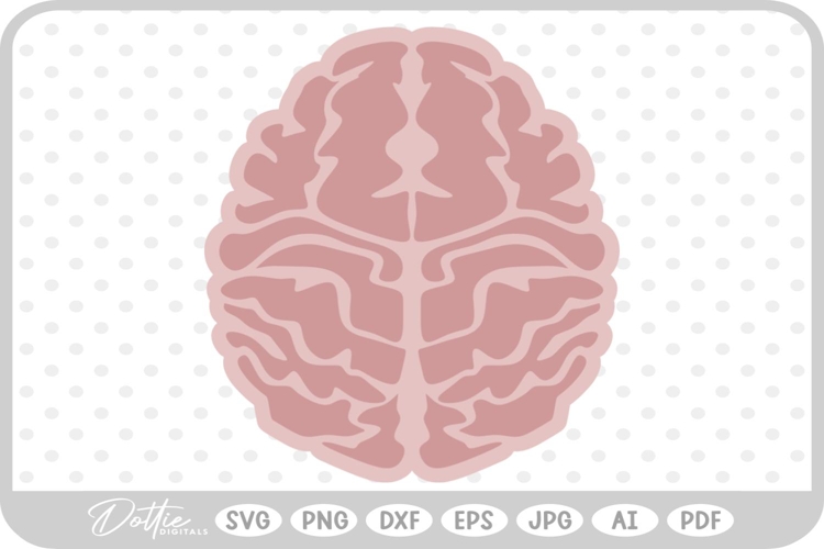 Brain Vector Image 15