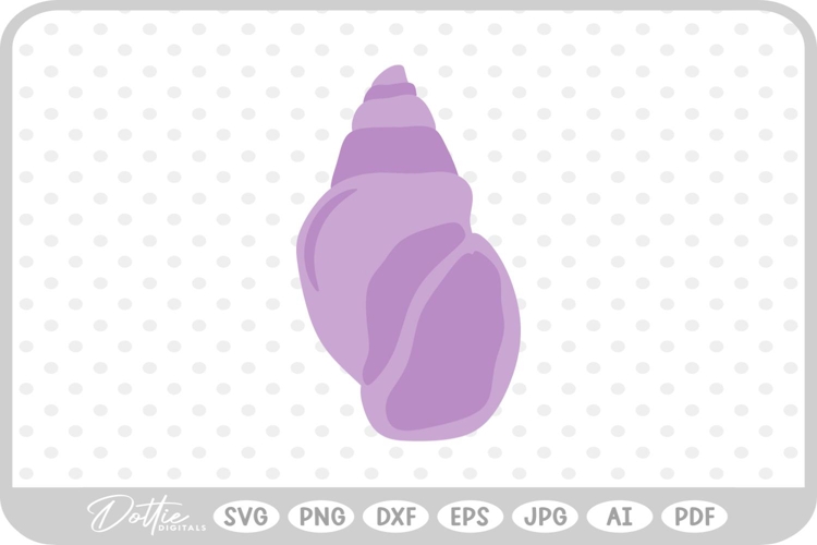 Shell Illustration