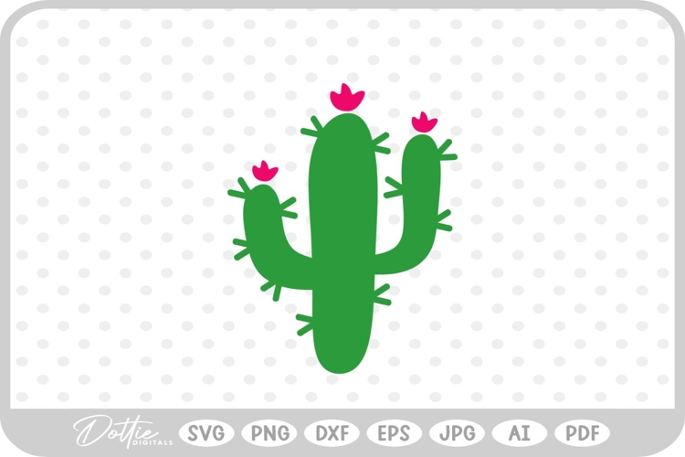 Cactus Vector Image 18