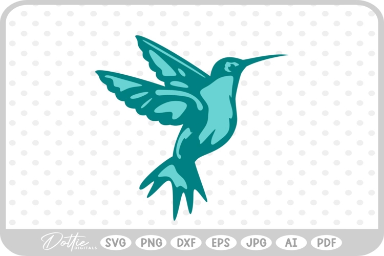 Hummingbird Illustration Image 7