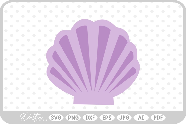 Shell Illustration Image 2