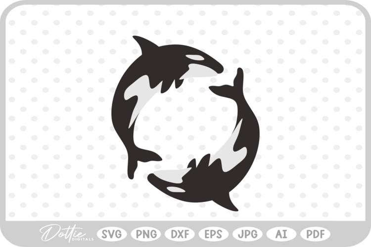 Whale Illustration Image 6