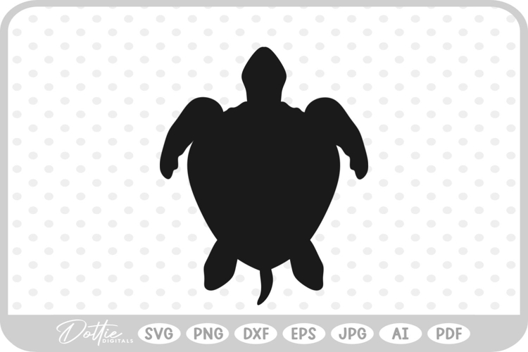 Turtle Illustration Image 8