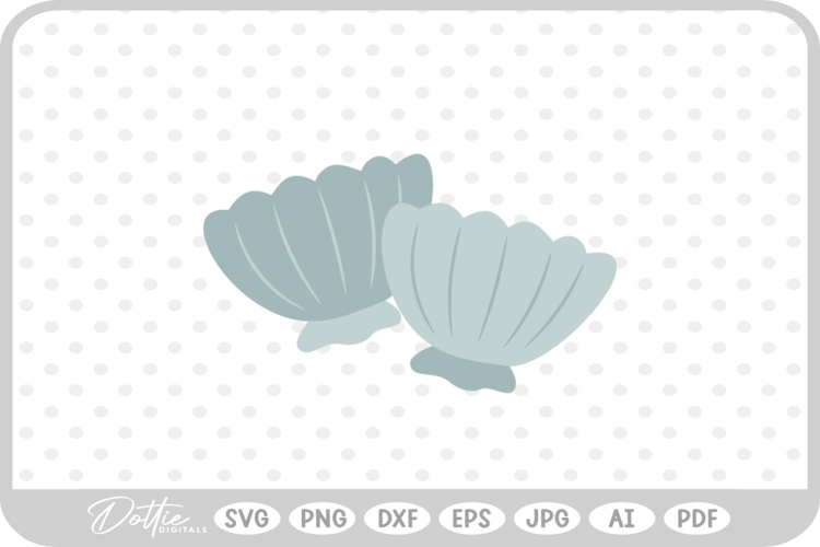 Shell Illustration Image 12