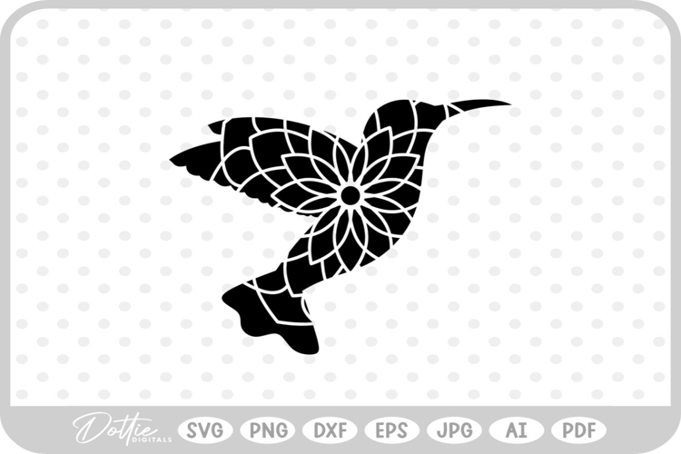 Hummingbird Illustration Image 12