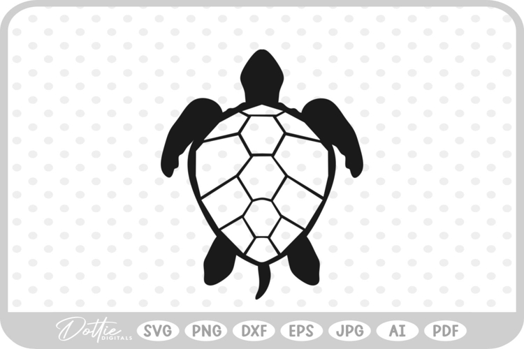 Turtle Illustration Image 7