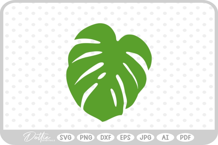 Tropical Leaf Svg Image 24