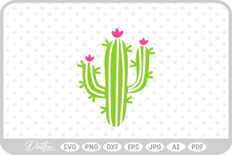 Cactus Vector Image 16