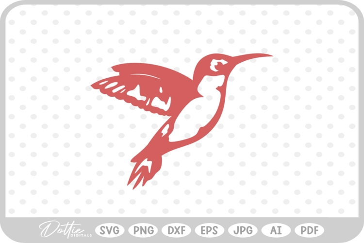 Hummingbird Illustration Image 24