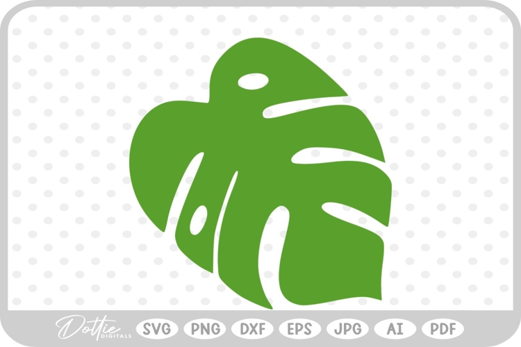 Tropical Leaf Svg Image 23