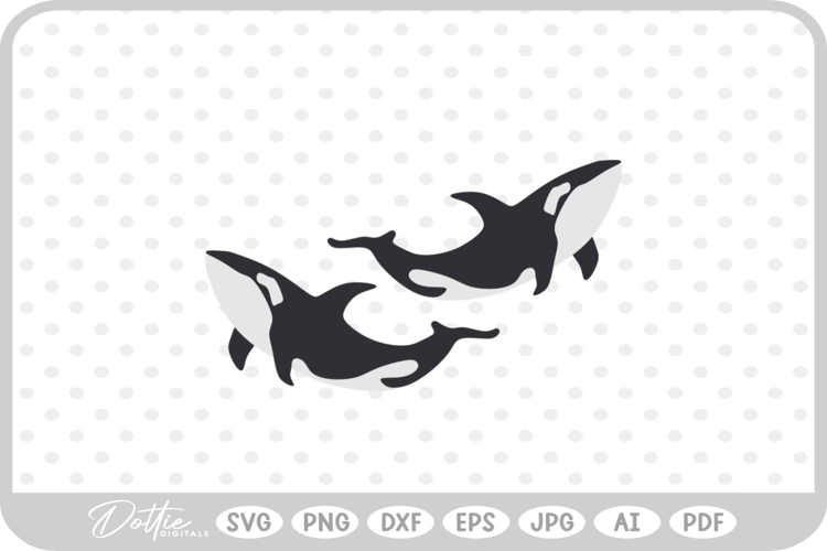 Whale Illustration Image 4