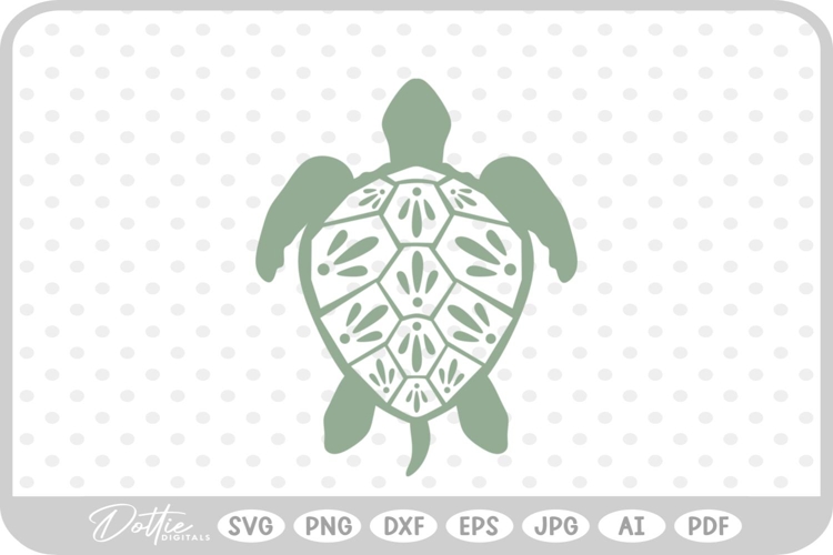 Turtle Illustration Image 5