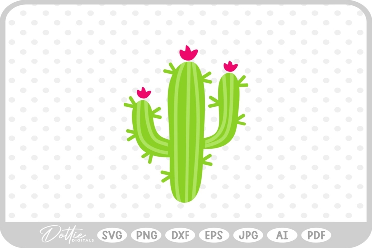 Cactus Vector Image 14