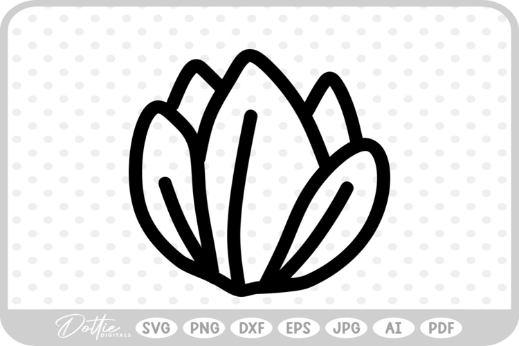 Wildflower Illustration Image 23