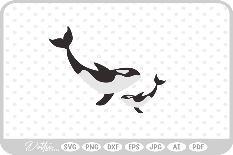 Whale Illustration Image 3