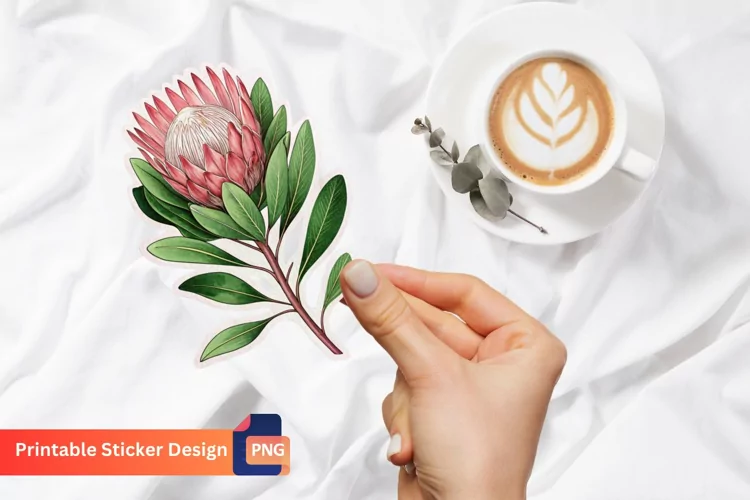 Protea Flower Sticker, Botanical Sticker, Flower Art