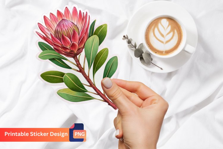 Protea Flower Sticker, Botanical Sticker, Flower Art example image 1