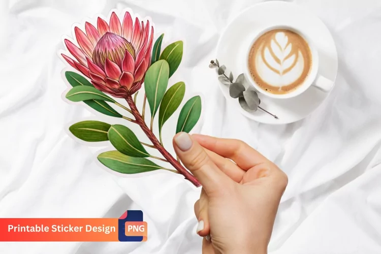 Protea Flower Sticker, Botanical Sticker, Flower Art