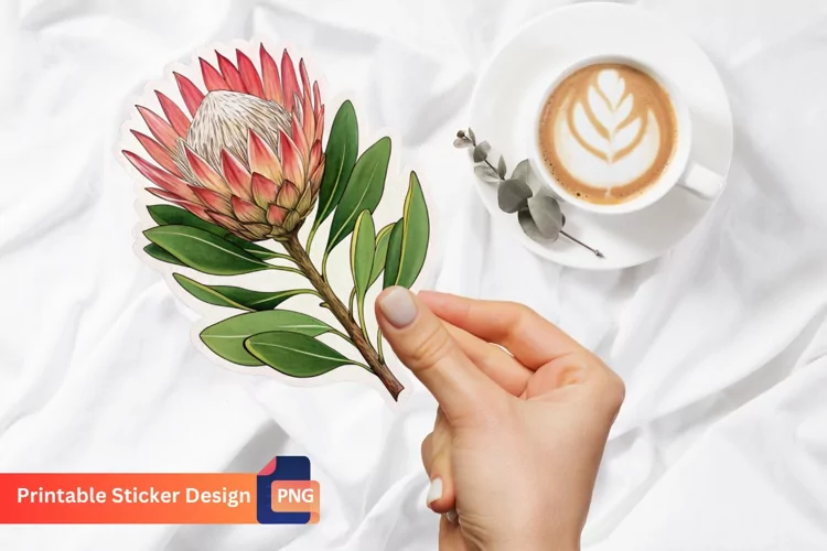 Protea Flower Sticker, Botanical Sticker, Flower Art