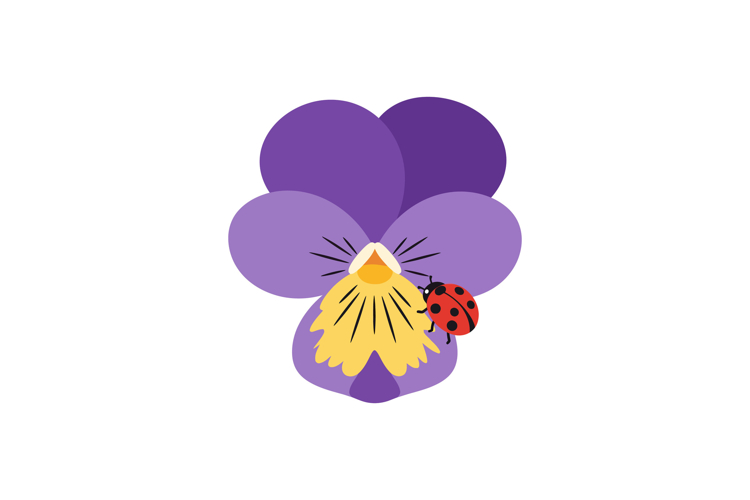 Purple Flower Clipart Image 19