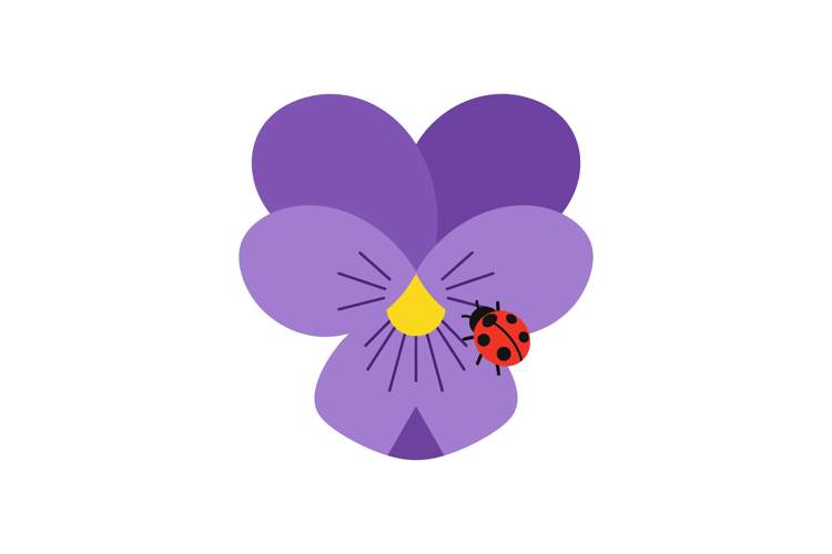 Purple Flower Clipart Image 20