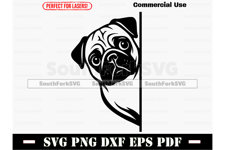 Cat Logo Design Image 2