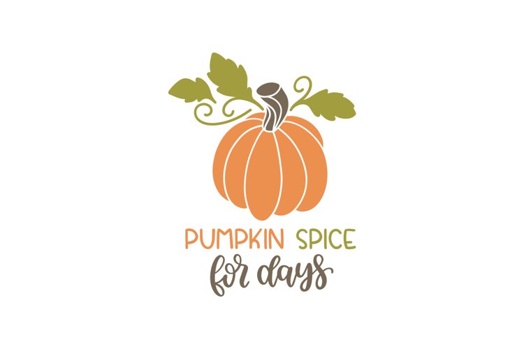 Pumpkin Vector Image 15