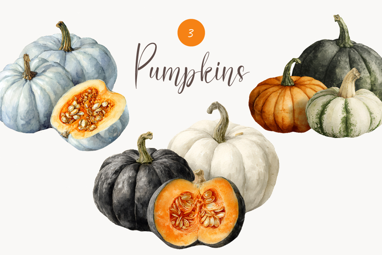 Watercolor pumpkin clipart - Autumn pumpkin png - Fall