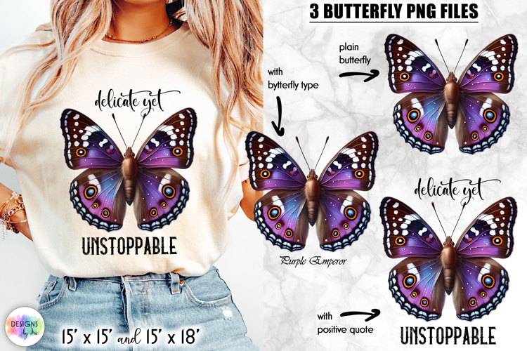 Butterfly Png Image 12