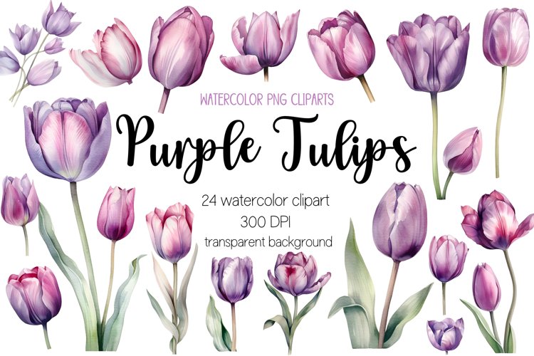 Purple Watercolor Tulip Cliparts, Transparent PNG