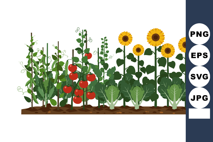 Vegetable Garden Clipart