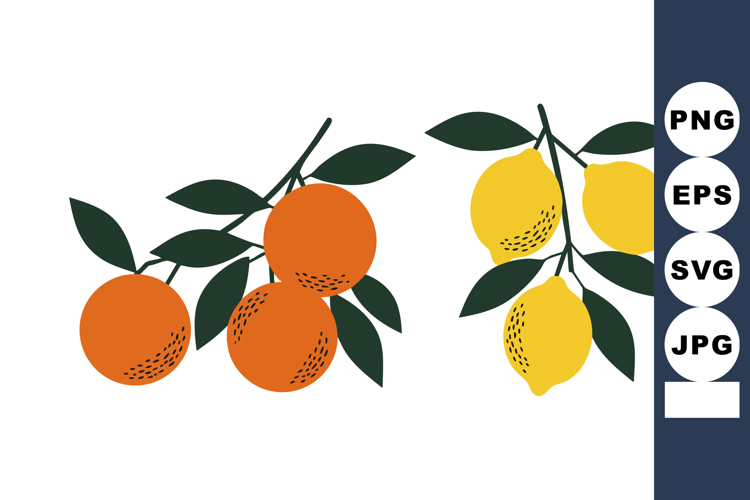Lemon Vector Image 2