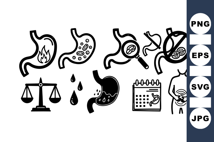 Digestive System Illustration Image 15