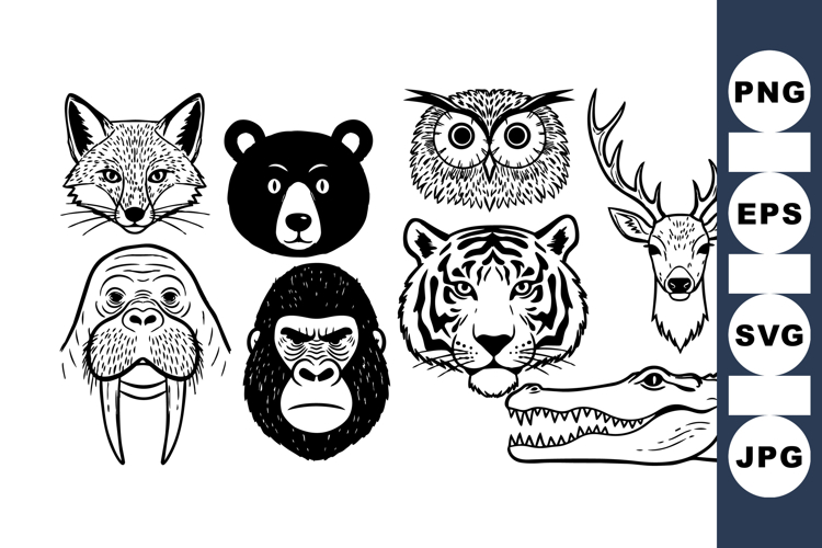 Animal Graphics Image 19