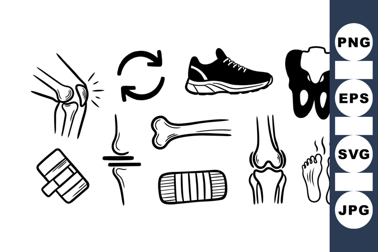 Medical Bone Anatomy Vector Clipart for Therapy