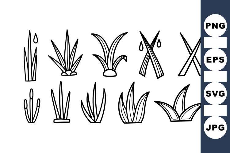 Summer Clipart Image 8