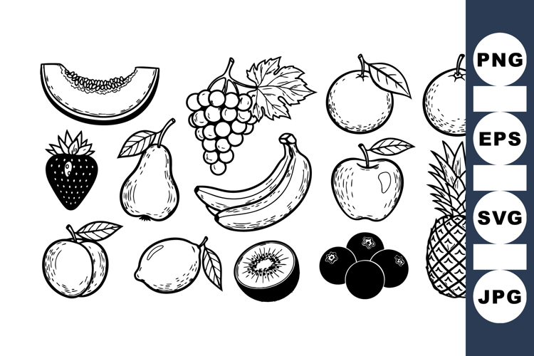 Vintage Hand Drawn Fruit Clipart Bundle for Crafts