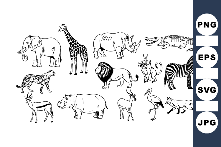 Animal Illustrations Image 14