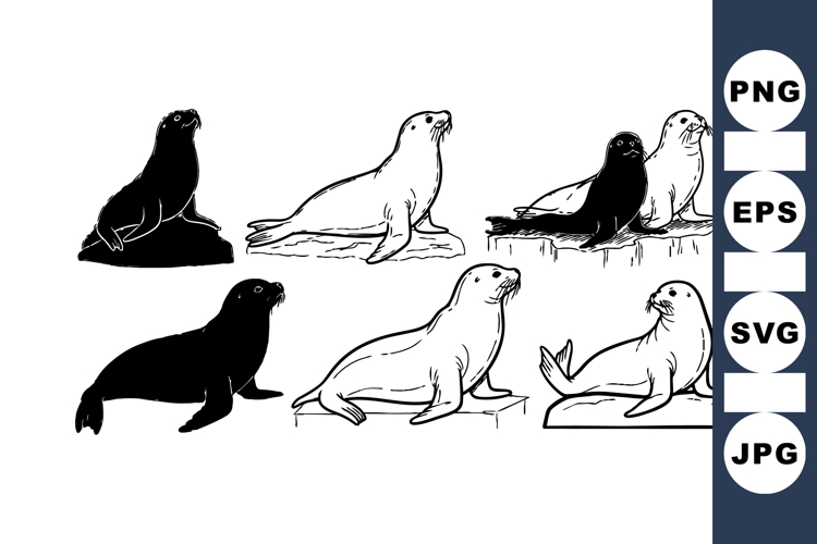 Minimalist Seal Silhouette Clipart Set For Crafts