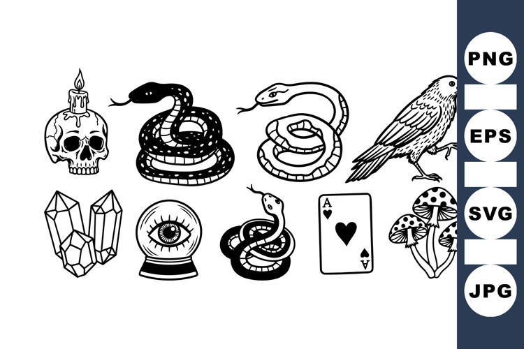 Bird Graphic Image 11