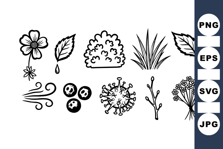 Hand Drawn Floral Botanical Clipart for Crafts