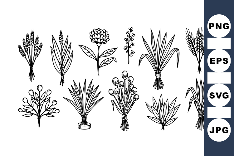 Hand Drawn Botanical Clipart For Crafts