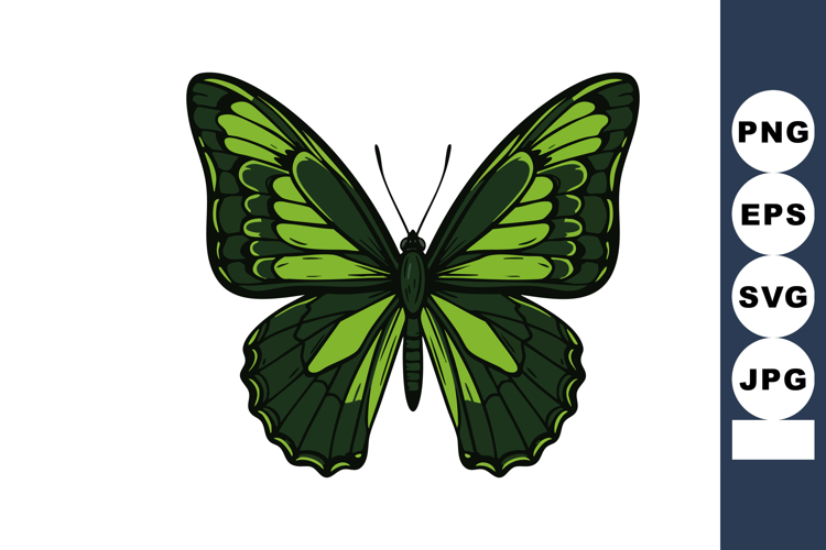 Butterfly Clipart Image 14