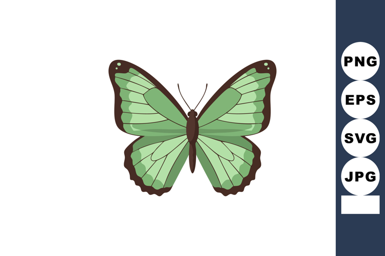 Butterfly Clipart Image 24