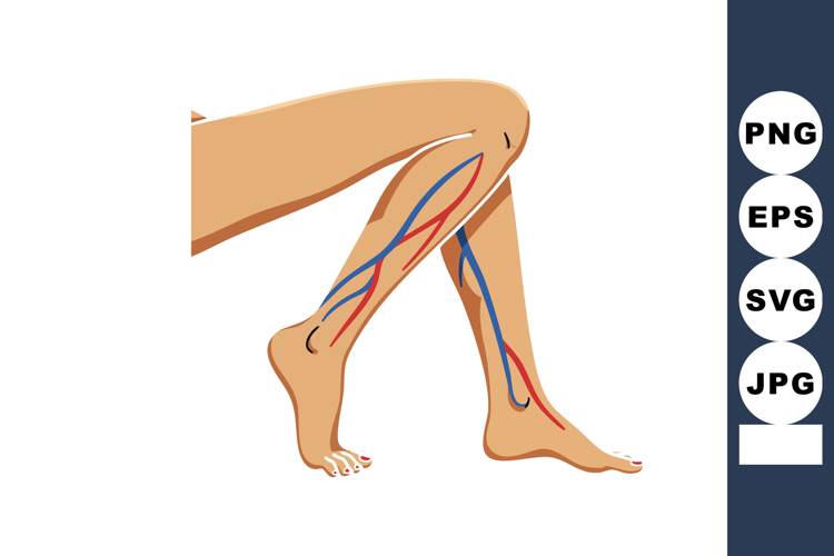 Leg Clipart Image 8
