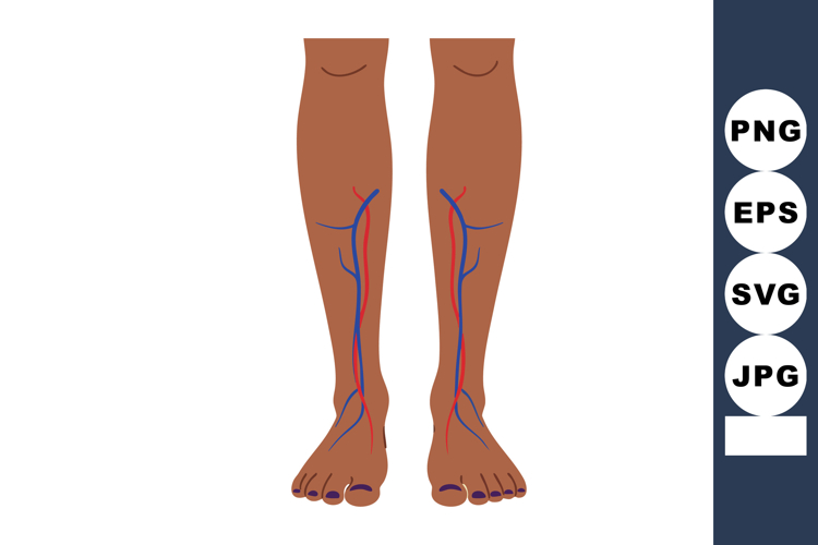 Anatomy Clipart Image 9